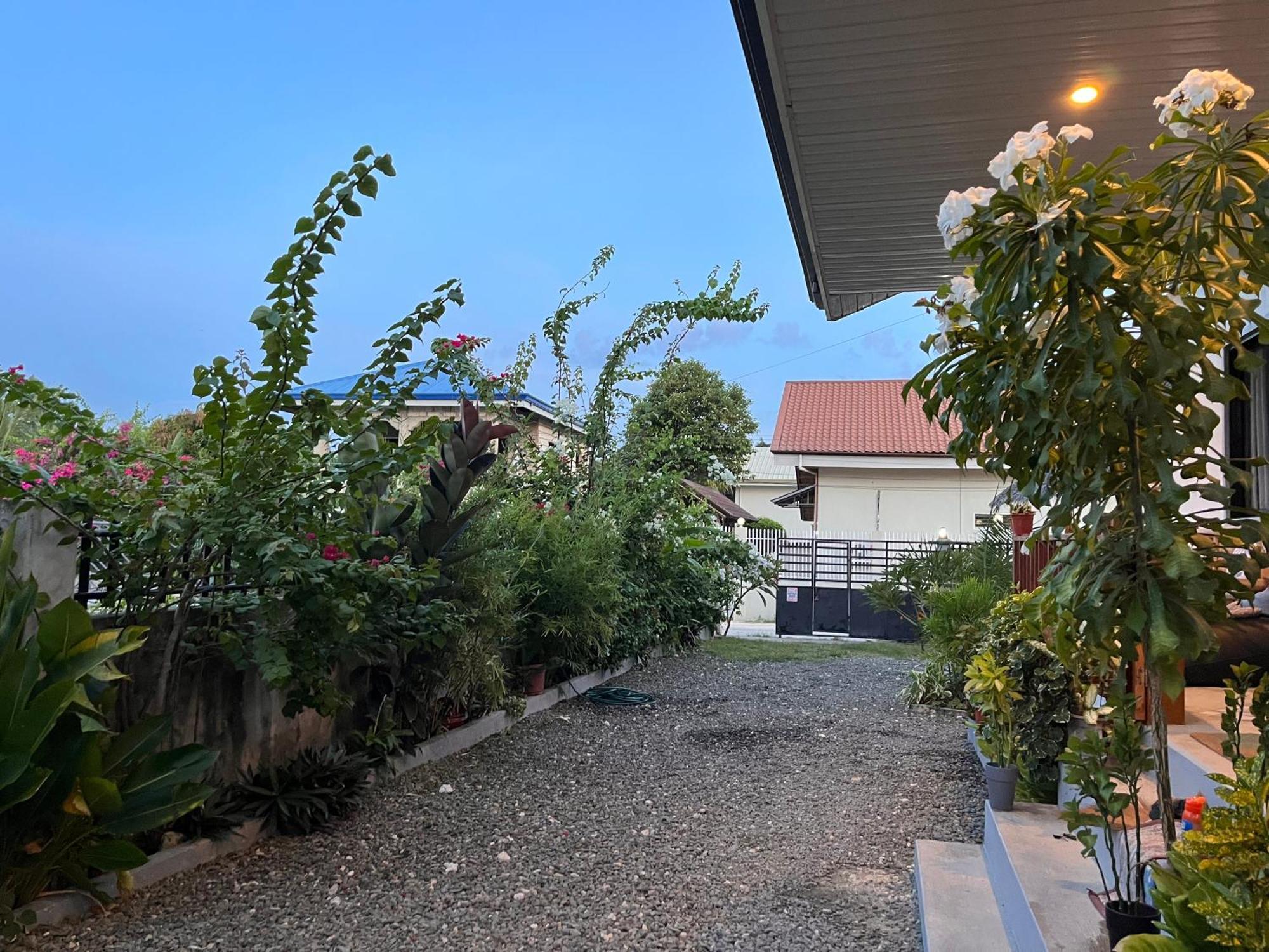 Momo Hostel Moalboal Ngoại thất bức ảnh