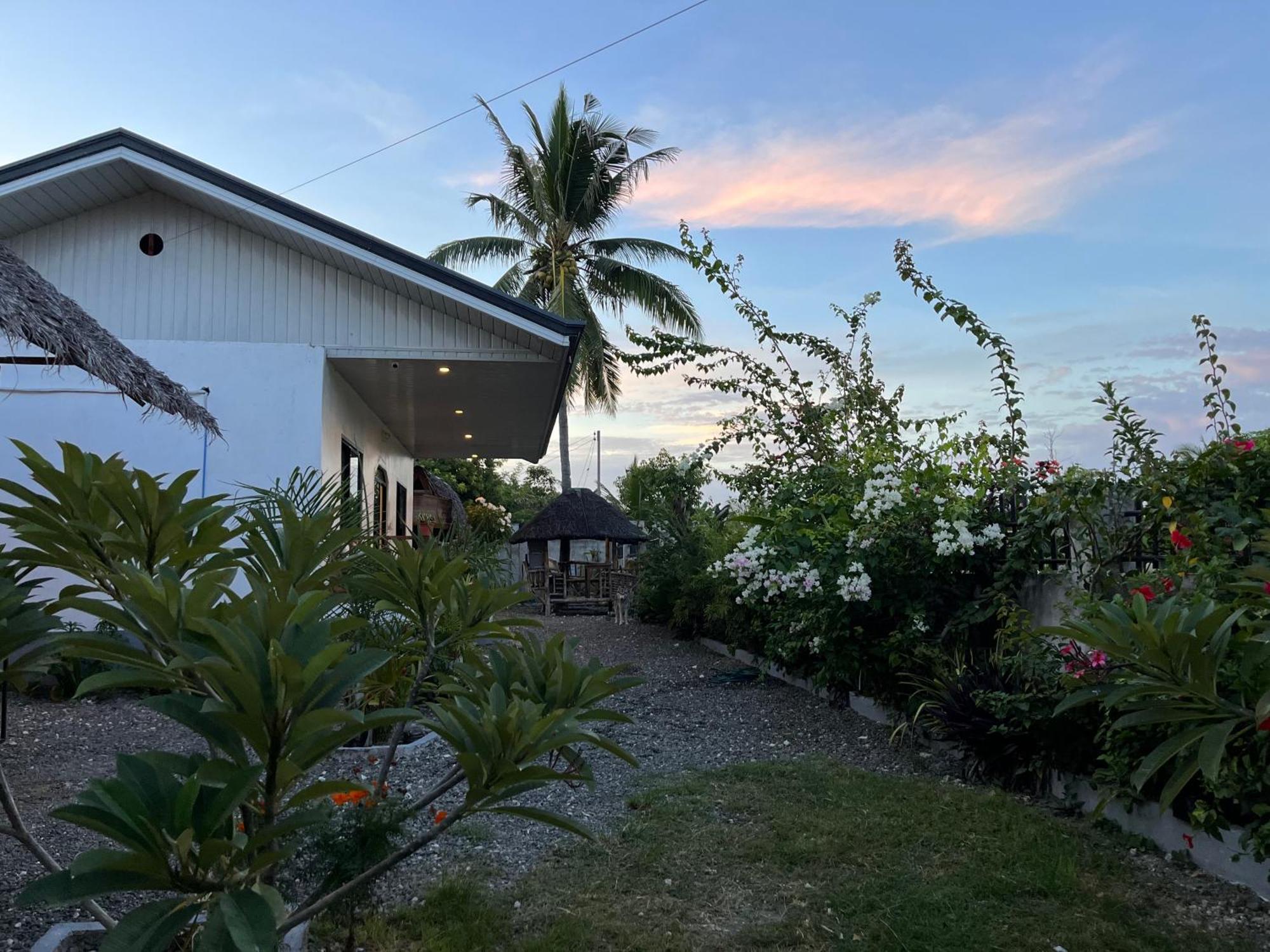 Momo Hostel Moalboal Ngoại thất bức ảnh